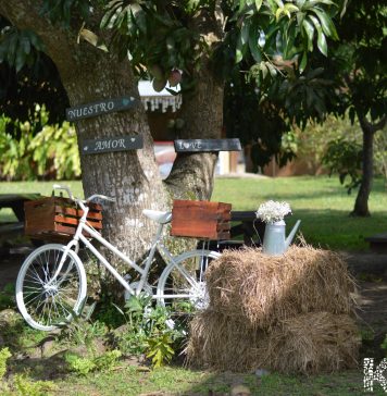 Lavender Garden Wedding