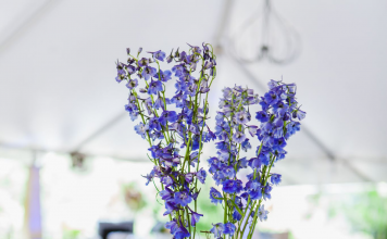 Enchanted Forest Wedding