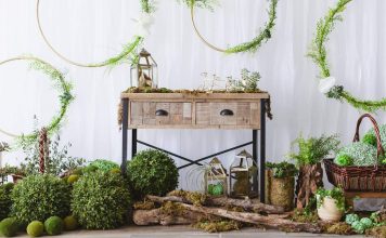 Rustic Garden Photo Background